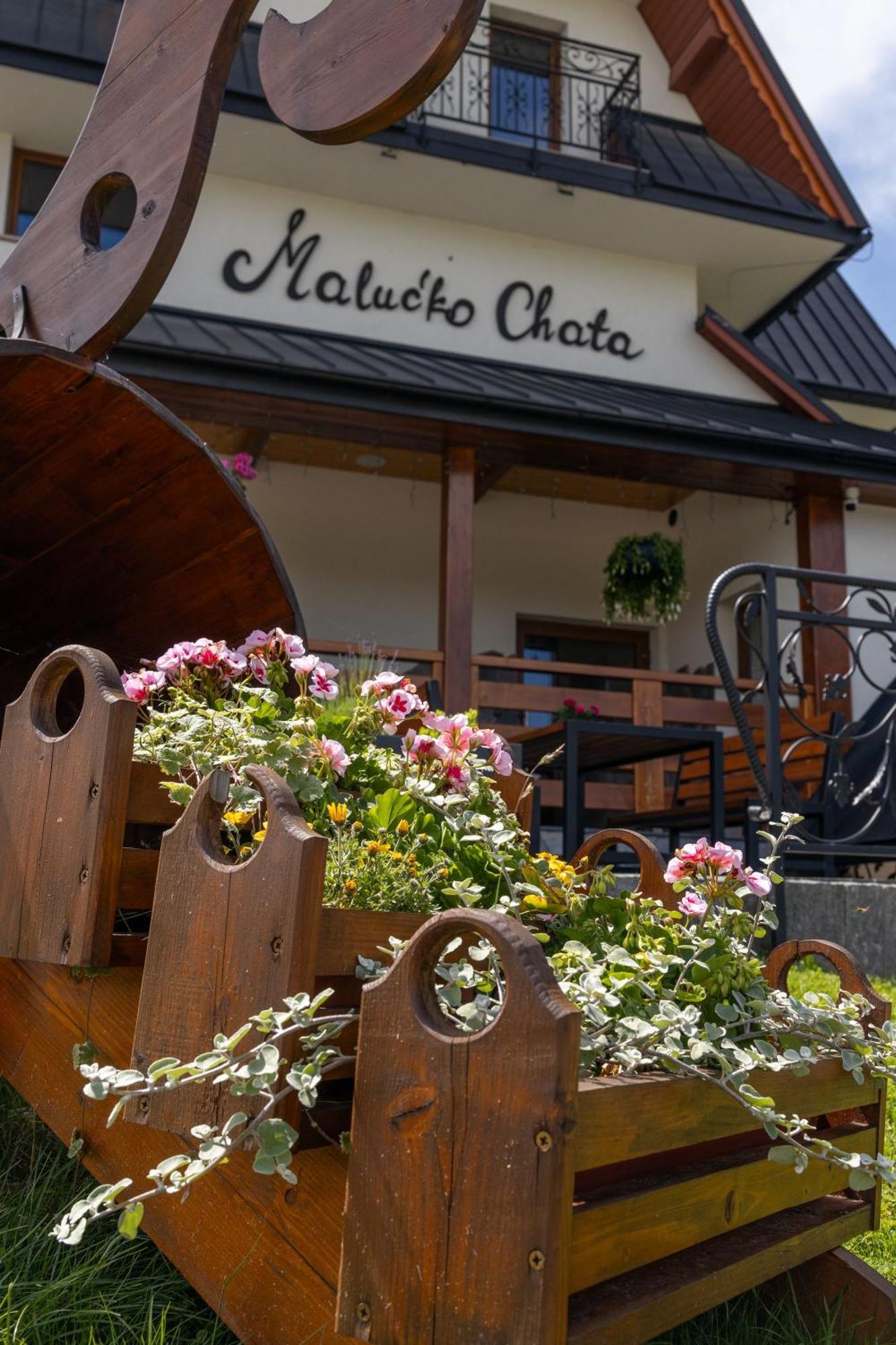 „Malucko Chata” Zakopane Extérieur photo