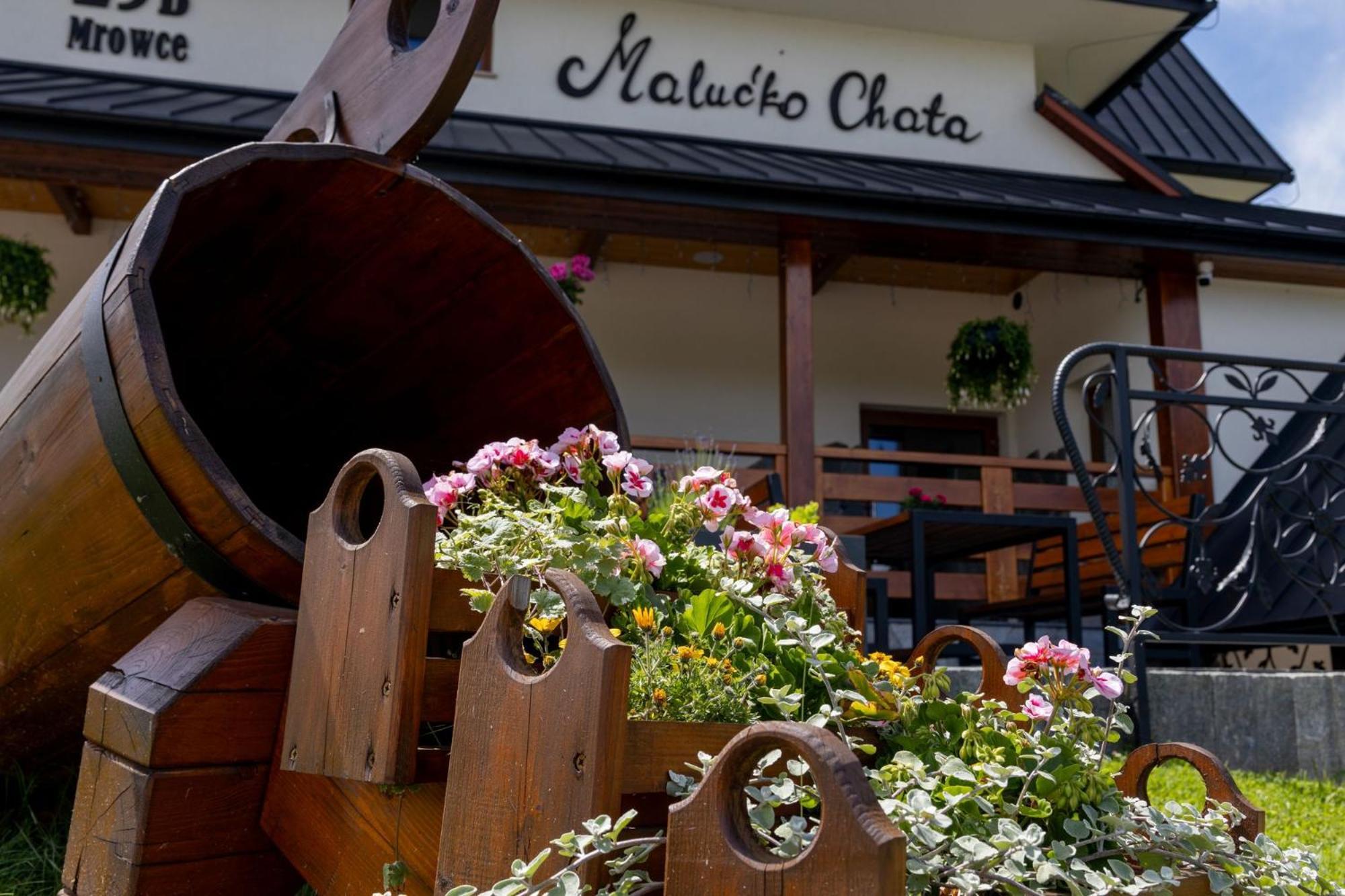 „Malucko Chata” Zakopane Extérieur photo